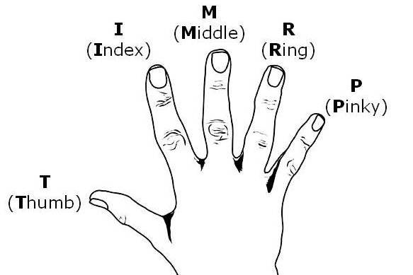 Hand finger symbols and reading the sequence of the strokes