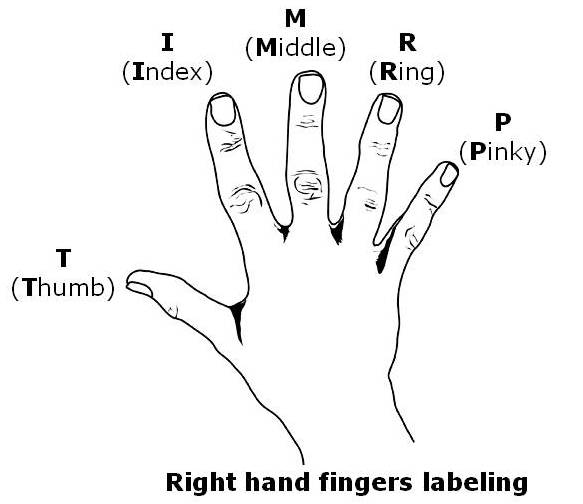 علامات أصابع اليد اليمنى 