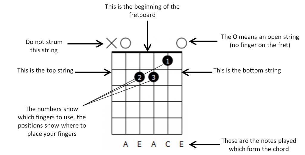 How to read the chord diagram 1